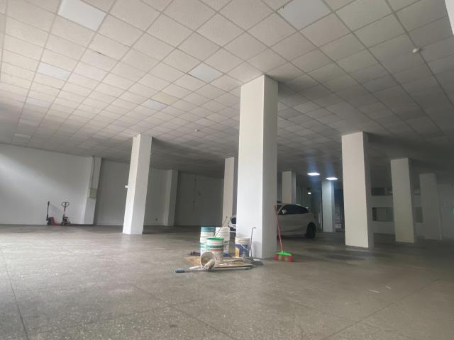 蘆竹廠房-1