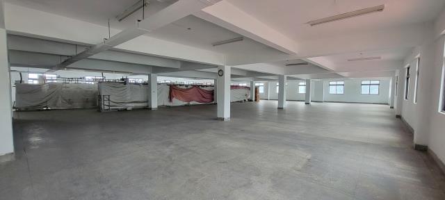 桃園廠房-4