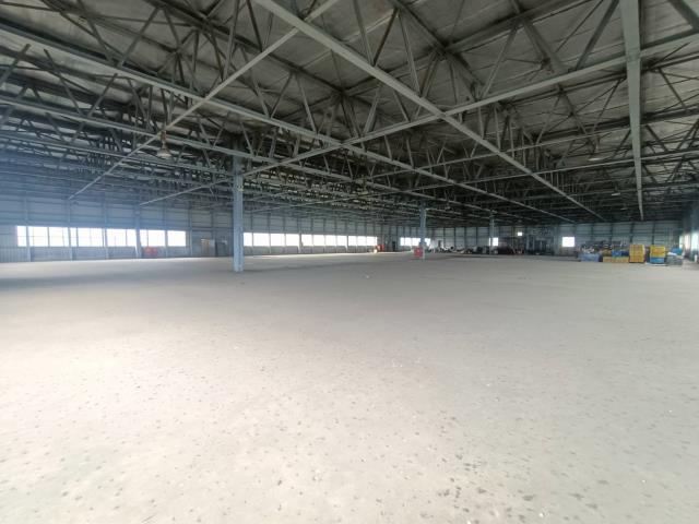 桃園龍潭廠房-5