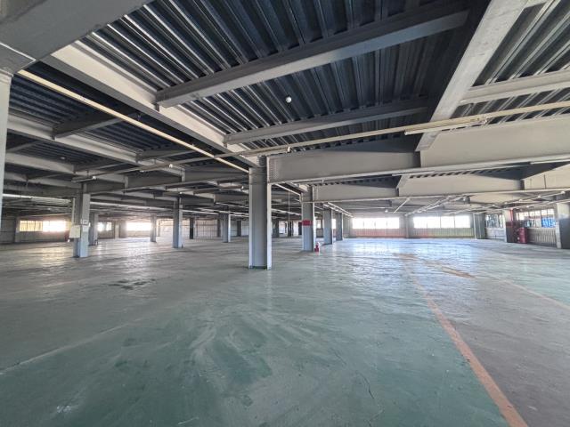 桃園大園廠房-1