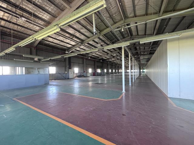 桃園大園廠房-4