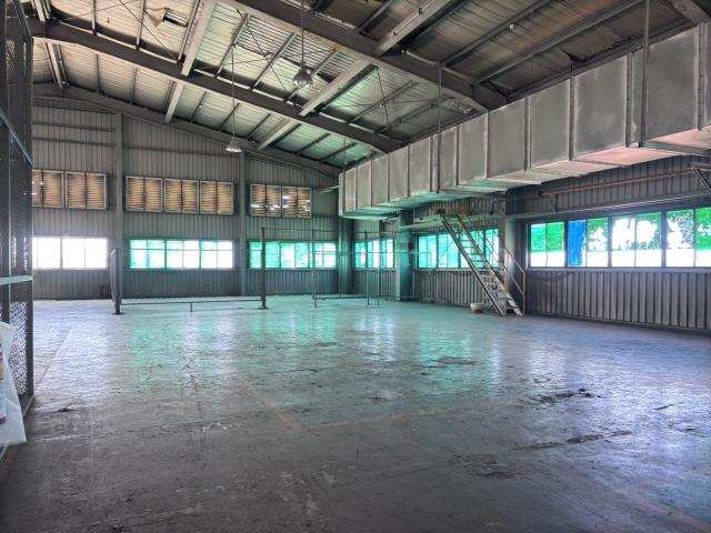 桃園大園廠房-4