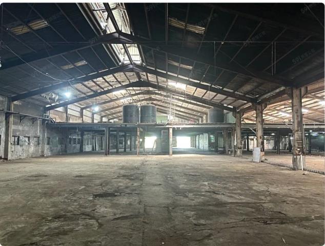 桃園中壢廠房-4