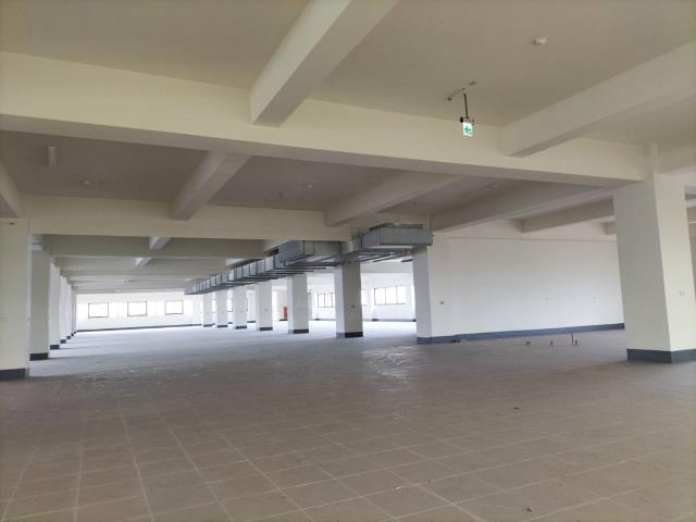 神岡廠房-2