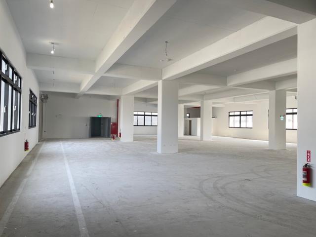 桃園中壢廠房-3