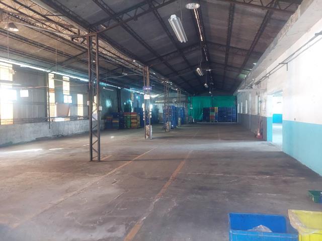 新北新莊廠房-1