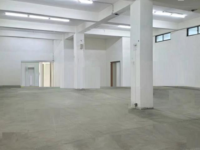 新北五股廠房-5