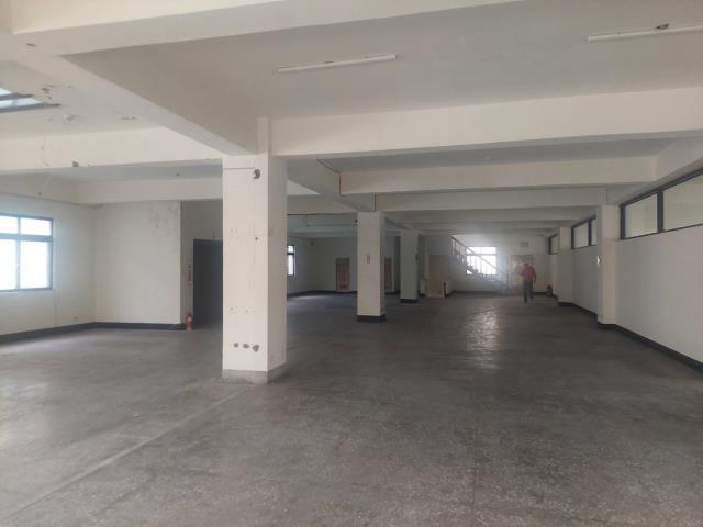 新北五股廠房-1