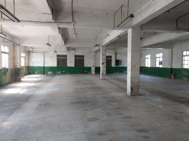 桃園廠房-5
