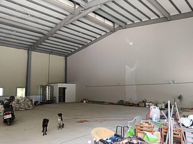 新北樹林廠房-2