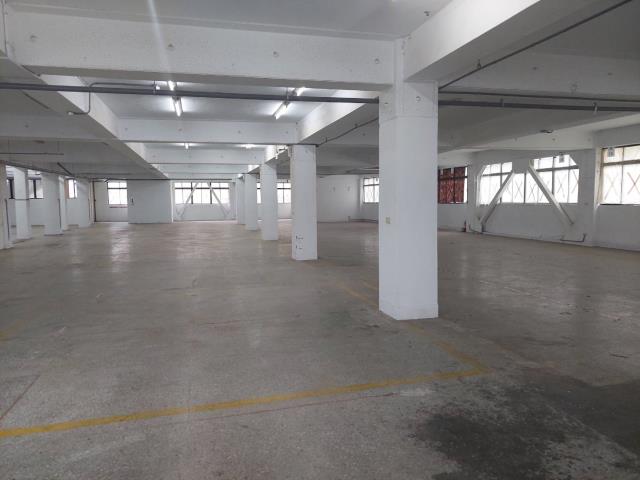 新北新莊廠房-5