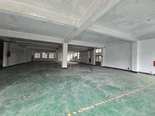 桃園中壢廠房-3