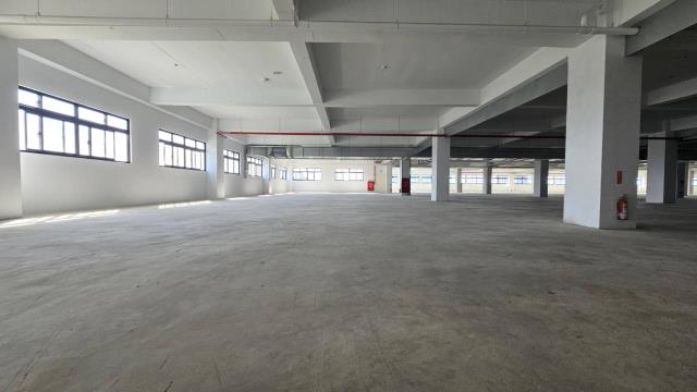 桃園新屋廠房-3