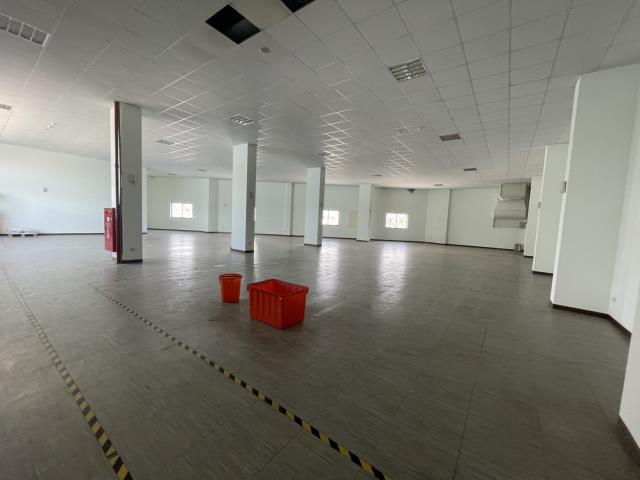 新北廠房-3