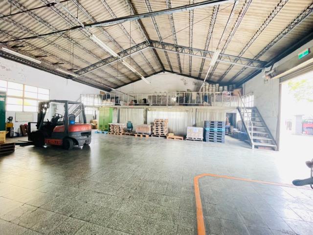 桃園中壢廠房-4