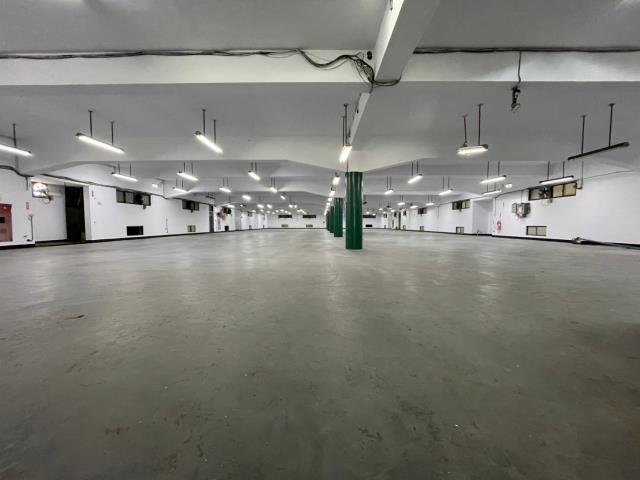 龍潭廠房-5