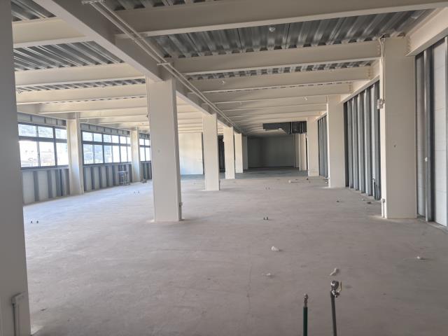 新北廠房-1