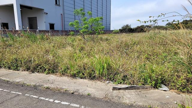 楊梅工業地-1