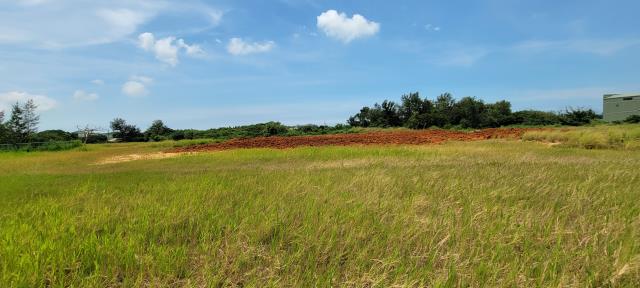 桃園觀音工業地-2